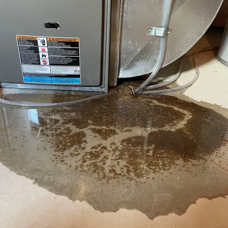 Appliance Leak Cleanup in Lake Sarasota, FL